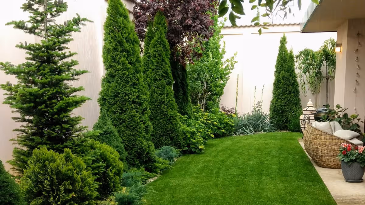 Grădină cu conifere și zonă de relaxare, proiectată de Sara's Gardens